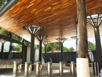 Universidad Panamericana Universidad Panamericana